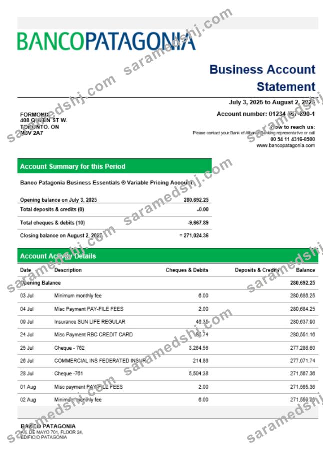 Banco Patagonia business bank statement Word and PDF format